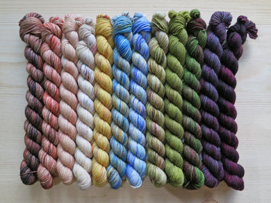 Twelve mini skeins of yarn in various colours of browns, tans and creams, golds, blues, greens and purples lined up on a pale wooden background (2019 Halfvent  Yarn Kit - Dyers Selection)