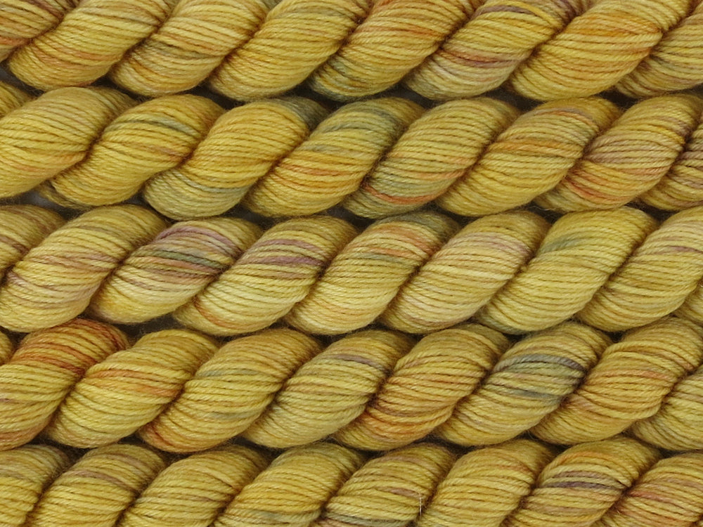 A close up of multiple variegated light golden yellow with hints of rust, maroon and grey mini skeins of superwash merino and nylon 4ply fingering sock yarn arranged horizontally (Yellowblock on Tough Stocking Mini)